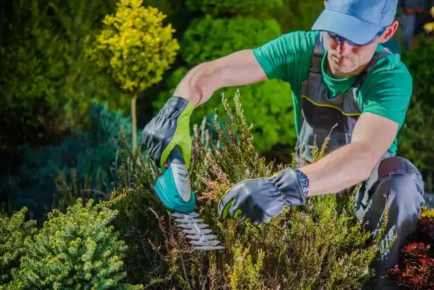 landscaping services Irvine
